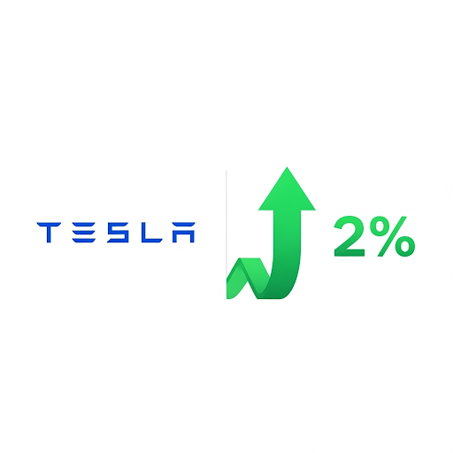 DIREXION DAILY TSLA BULL 2X SHARES