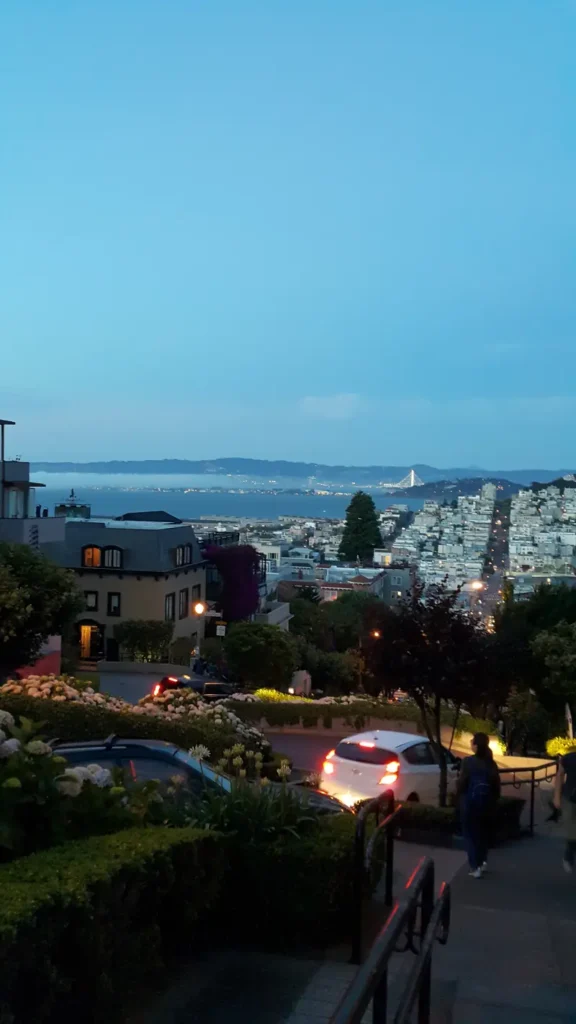 Lombard Street 위에서 바라본 시내의 모습으로 야경이 보임