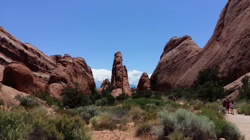 Arches National Park에서 볼 수 있는 수많은 아치들