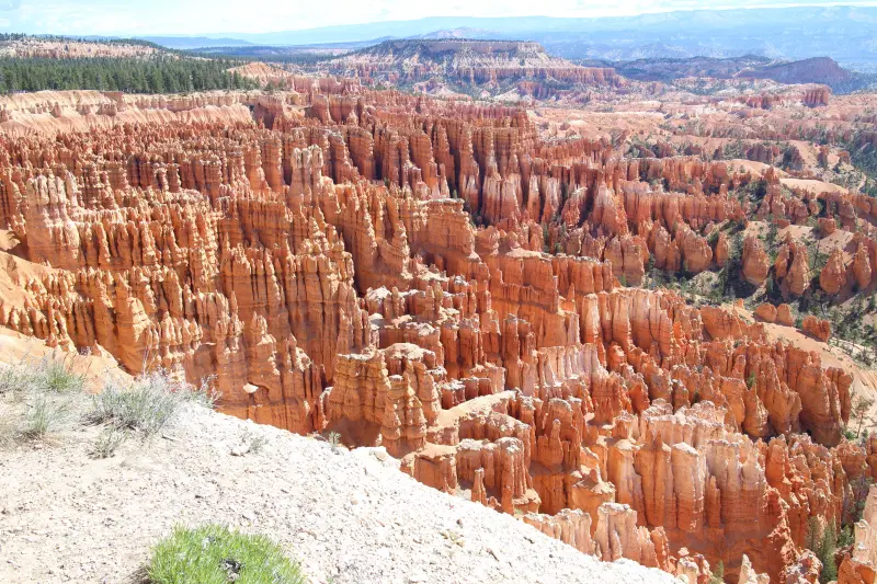 Bryce Canyon의 후두가 보이고 있으며 수만개의 후두가 장관임