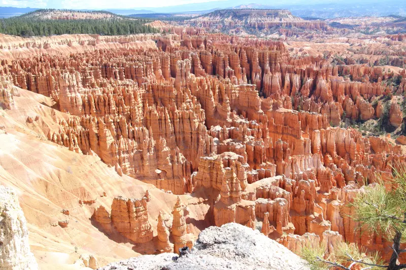 Bryce Canyon의 후두가 보이고 있으며 장관을 이룸