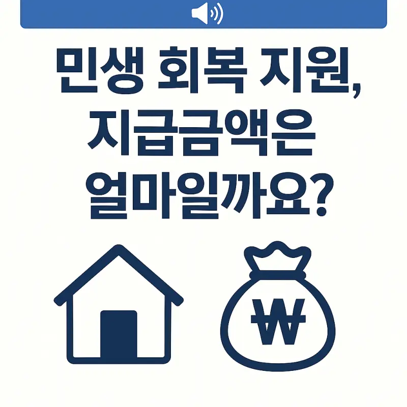 민생회복 지원금