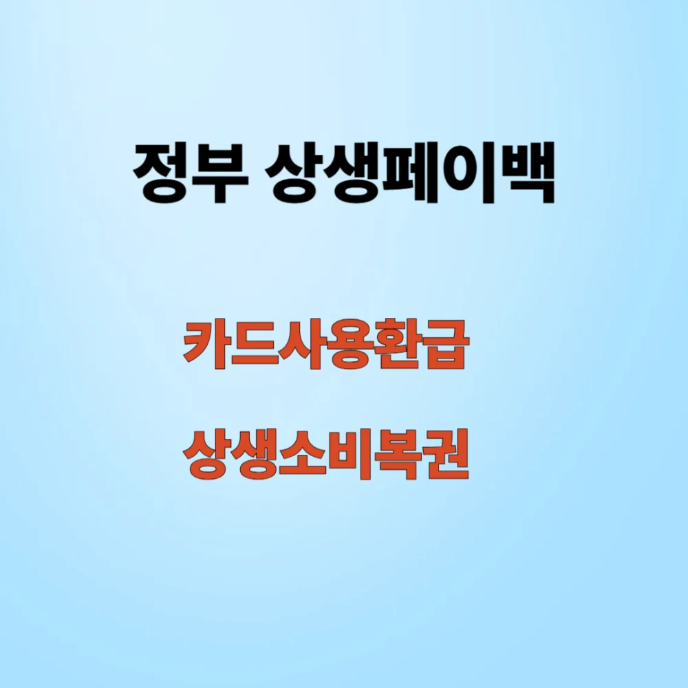 상생페이백
