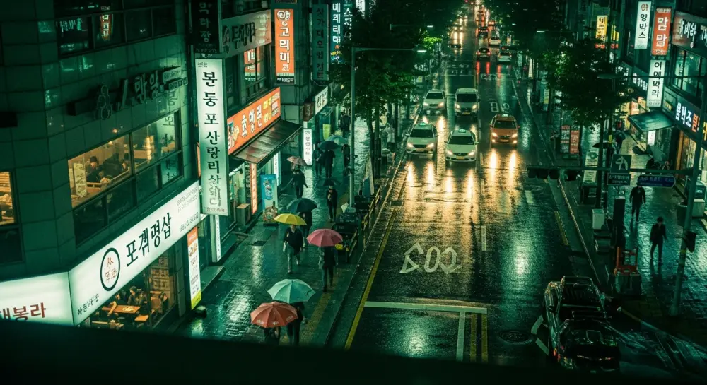 길가의 불법 주차 중