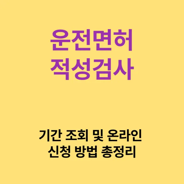 운전면허 적성검사