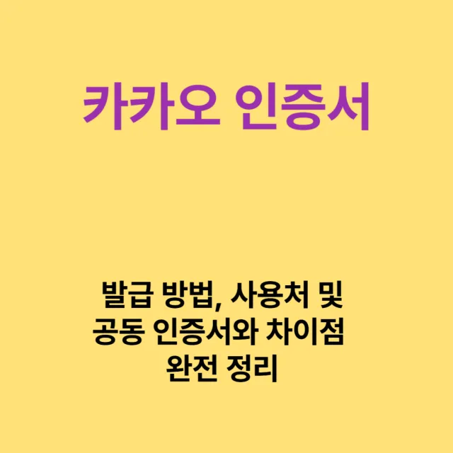 카카오 인증서