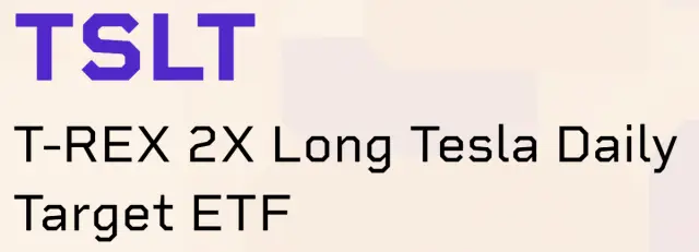 테슬라 레버리지 ETF