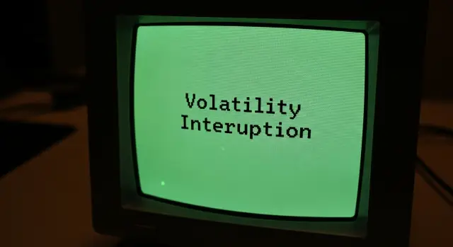 변동성 완화장치 VI