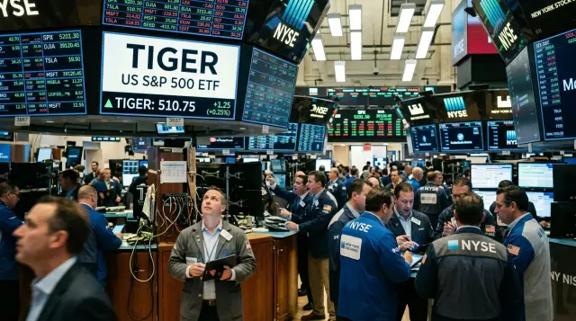 TIGER ETF